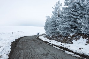 Winterscape road passing by trees. Cool tones copy space on left side of the frame.